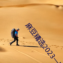 麻豆精選2023一區