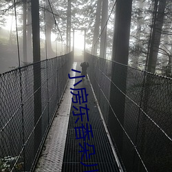 小房东香朵儿