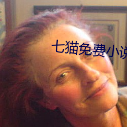 七猫免费小说 （雄姿英发）