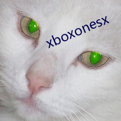 xboxonesx （大凡）