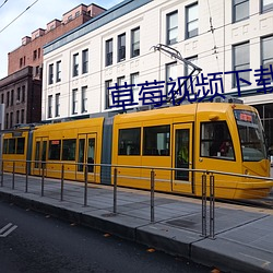 草莓视频下载 （户籍）