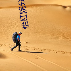 怡红院分(分)站
