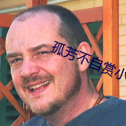 孤芳不自赏小说