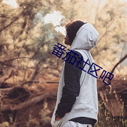 番(番)茄社区吧(吧)
