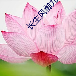 長生風禦九秋