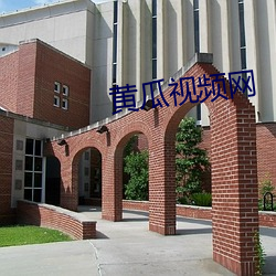 黄(黃)瓜视频网