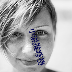 小说推荐榜(榜)