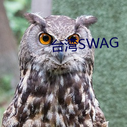 ̨SWAG