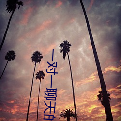 一對一聊天的軟件深夜