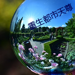 重生都市天(天)尊