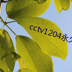 cctv1204永久地址