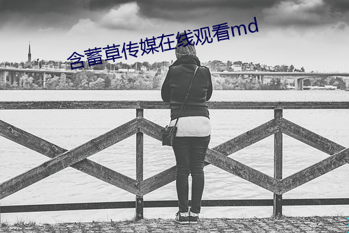 含蓄草传媒(méi)在(zài)线观看md