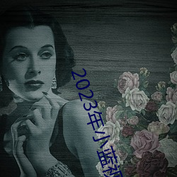 2023年小藍視頻GA
