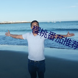 櫻桃番茄推薦