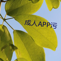 成人APP污