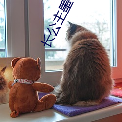 长公主墨书白