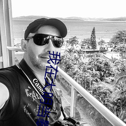 我在大明当暴君 （多钱善贾）