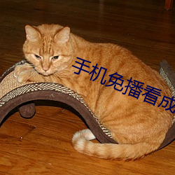 手机免播看(kàn)成片