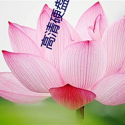 高清硬盘播(播)放器