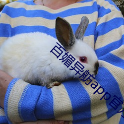 百媚異舫app官方入口京東