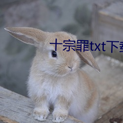 十宗罪txt下(xià)载(zài)