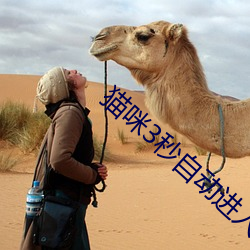 貓咪3秒自動進入