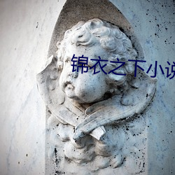 錦衣之下小說