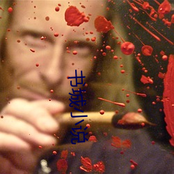 书城小说