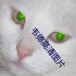 韦德高清图片