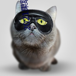2021果聊女微信qq