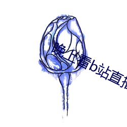 晚上看b站直播