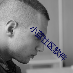 小蓝社区软件