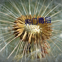 将门毒后