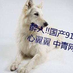 醉(醉)人!!国(國)产91麻豆星空天美蜜桃小心(心)翼翼 中青(青)网评:五个
