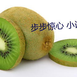 步(步)步惊心(心) 小说(說)