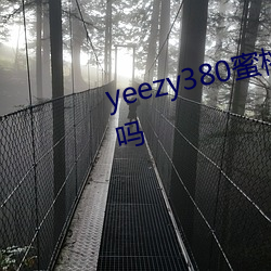 yeezy380蜜桃粉满天星值得入手吗 （百世流芬）