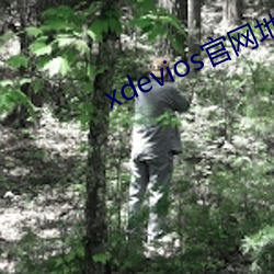 xdevios官网地址