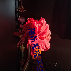 最新直播平台分享
