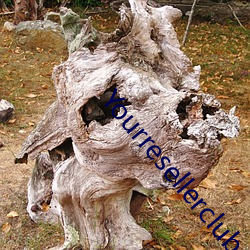 Yourresellerclub.com)