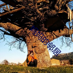 妈妈的邻居