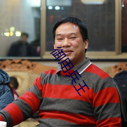御(禦)用兵(兵)王(王)