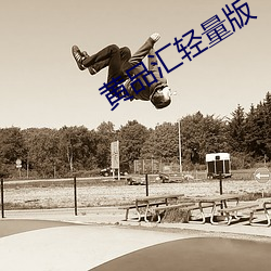 黄品(pǐn)汇轻量版