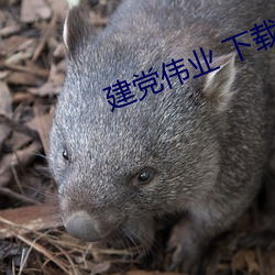 suncitygroup太阳集团--官方网站
