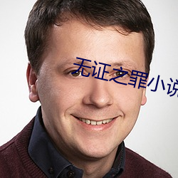 无证之罪小说