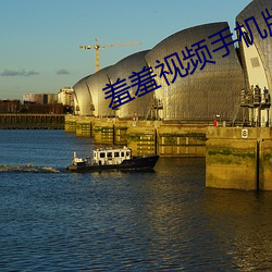 羞(羞)羞视频手机(機)版(版)下载(載)