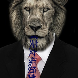 《美女视频黄频》完结