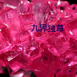 九界独尊