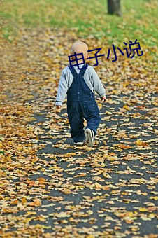 電子小說