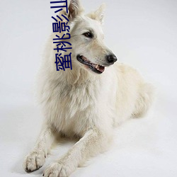 尊龙凯时·(中国)官方网站
