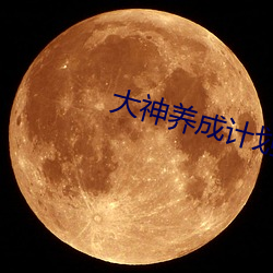 大神养成计(jì)划(huà)